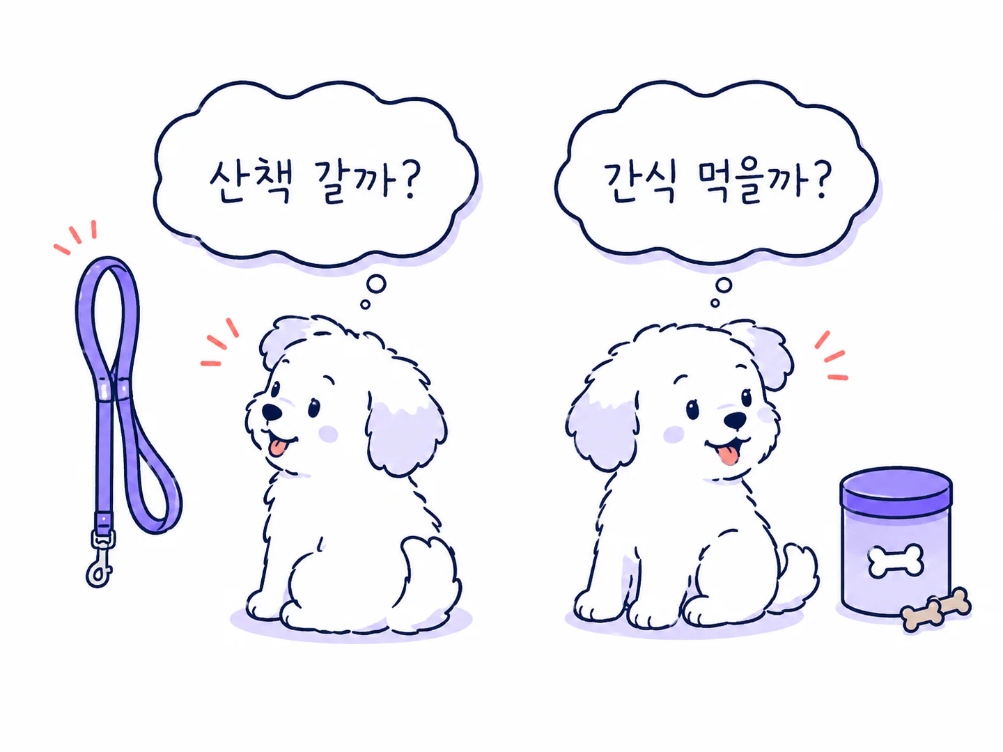 산책과 간식이라는 말에 리드줄과 간식 통을 바라보는 강아지