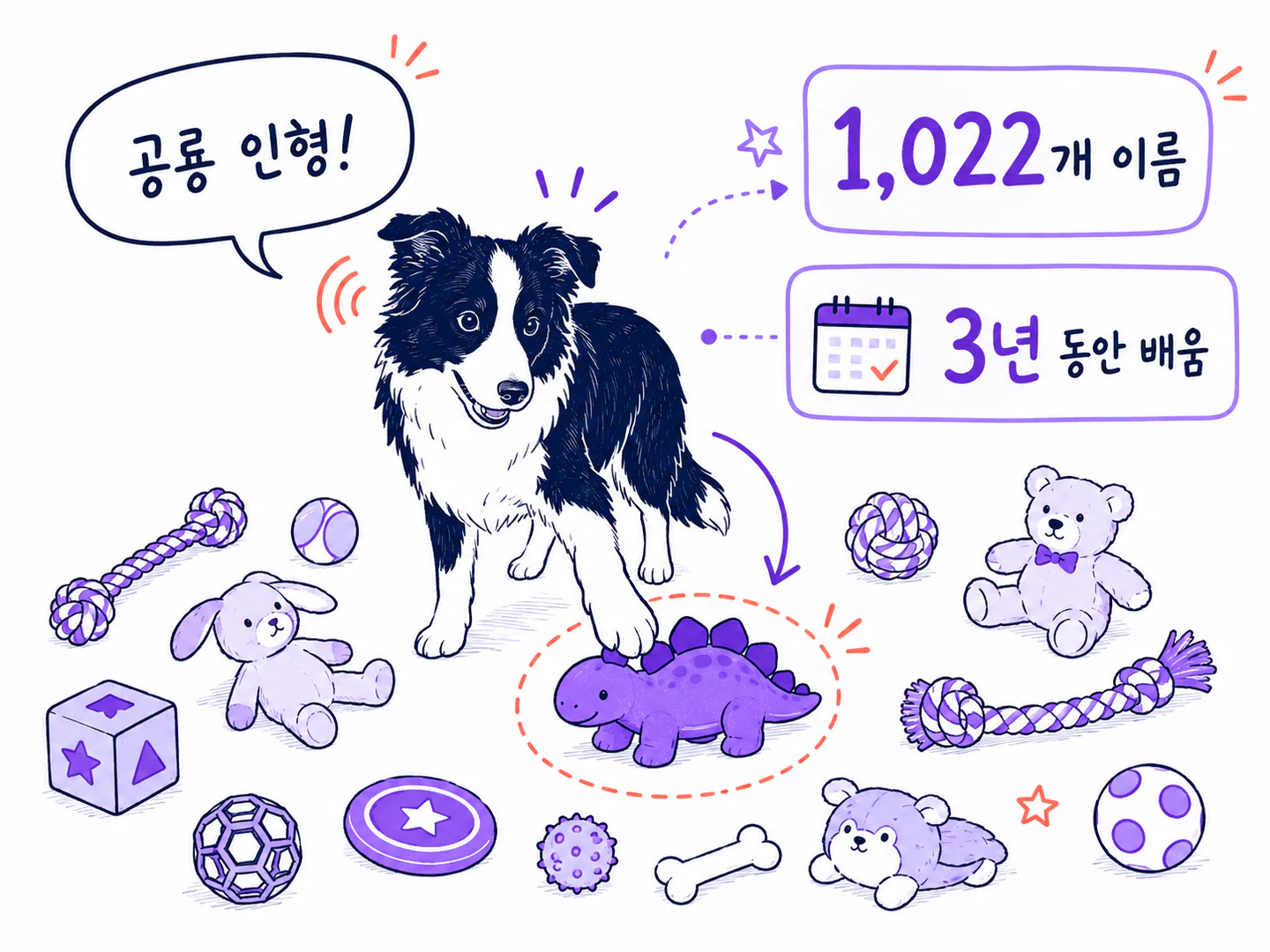 장난감 이름 천이십이 개를 배운 보더콜리 체이서와 여러 장난감