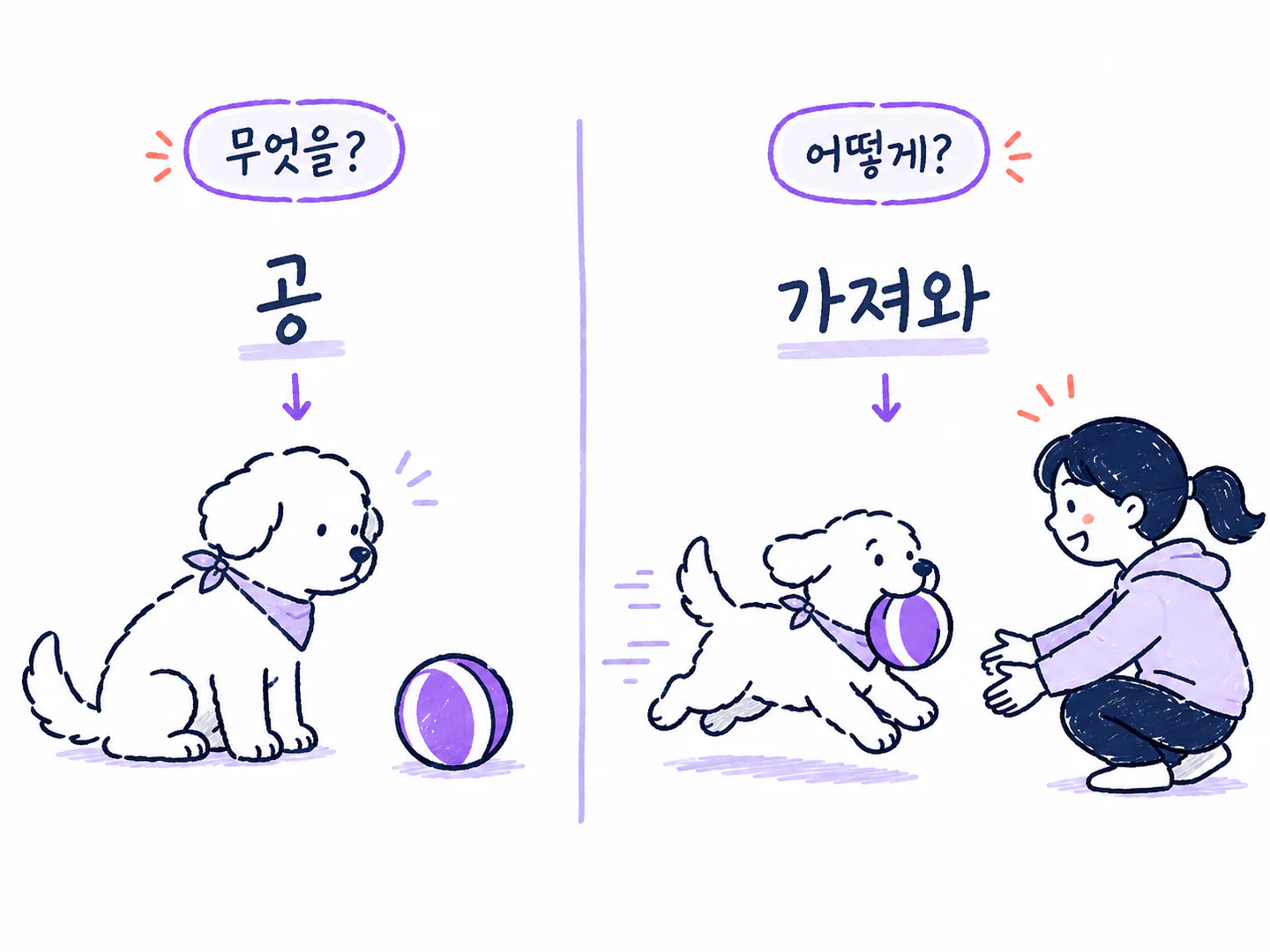공이라는 물건 이름과 가져오라는 행동 명령을 구별하는 강아지
