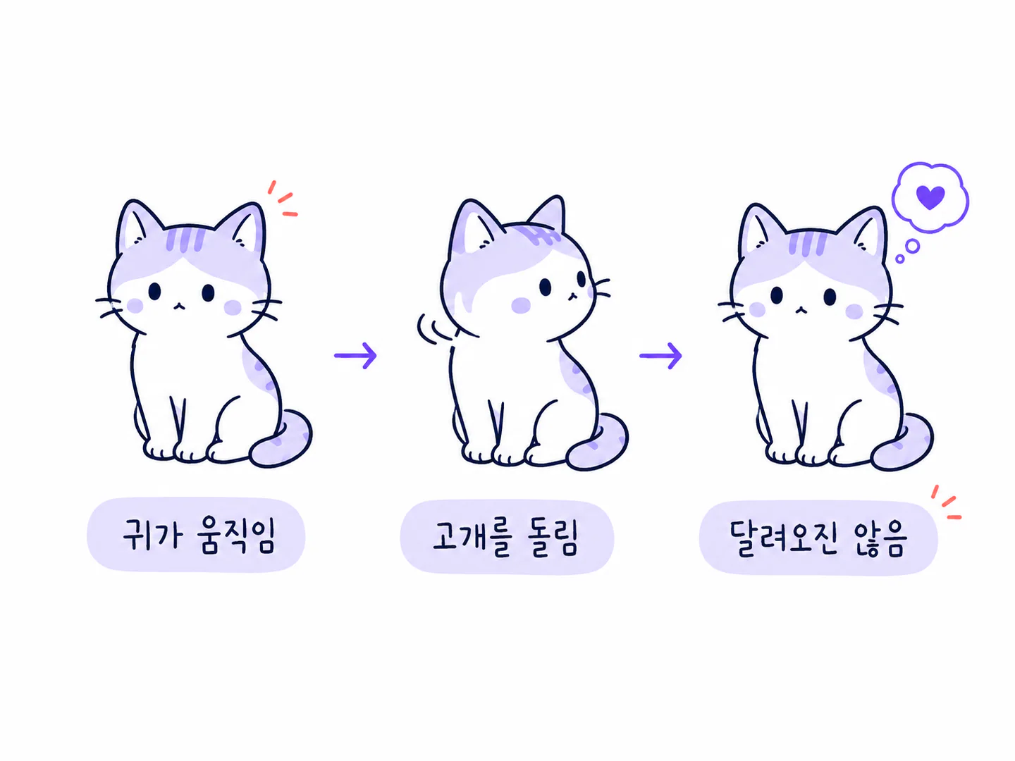 귀 움직임과 고개 돌리기와 달려오지 않는 반응을 차례로 보이는 고양이