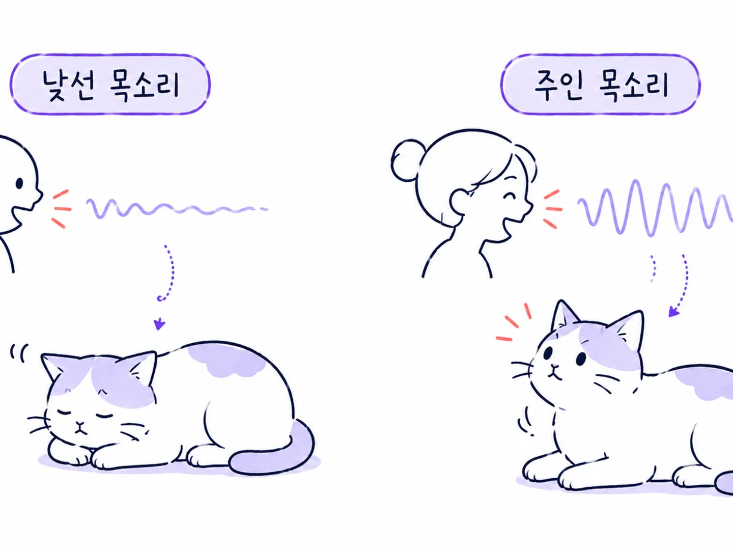 낯선 목소리와 주인 목소리를 들을 때 다르게 반응하는 고양이