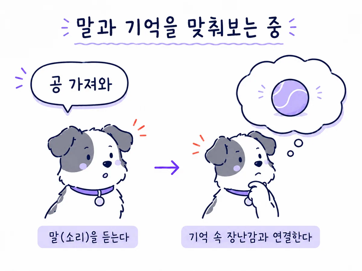 공 가져와라는 말을 들은 강아지가 기억 속 장난감과 소리를 맞춰보는 그림