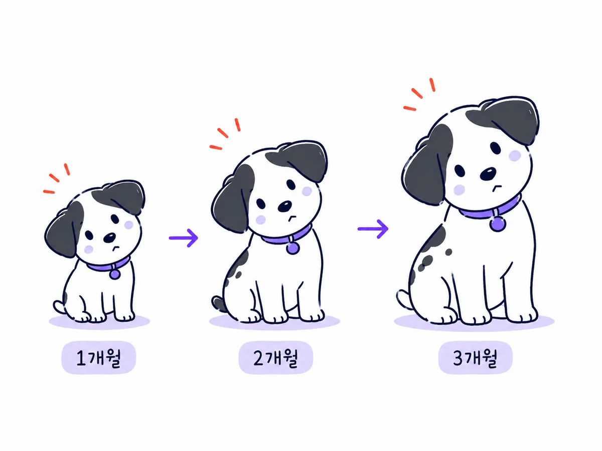같은 강아지가 한 달 두 달 세 달 뒤에도 비슷한 방향으로 고개를 갸웃하는 연속 그림